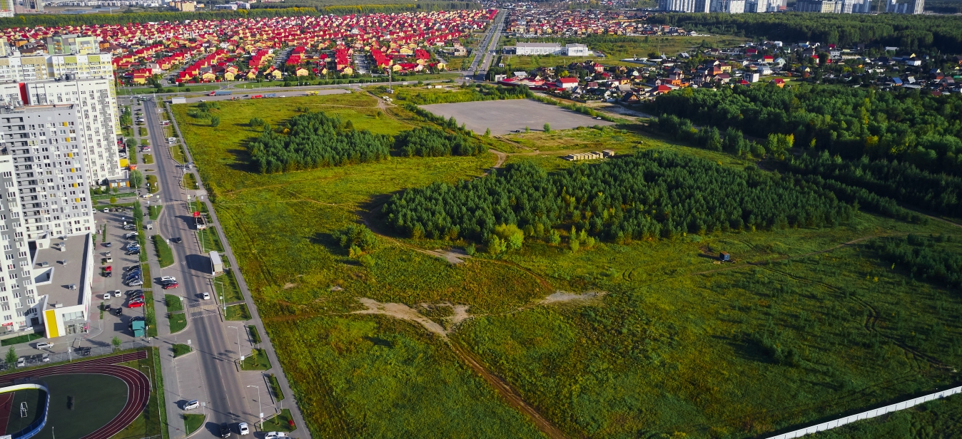Первая линия. Гавань Первая линия. Гавань